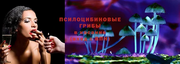 крисы Арсеньев