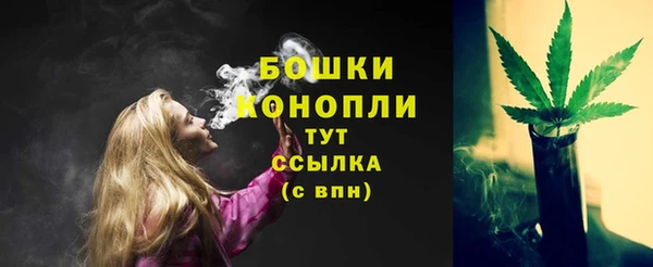 индика Красноперекопск