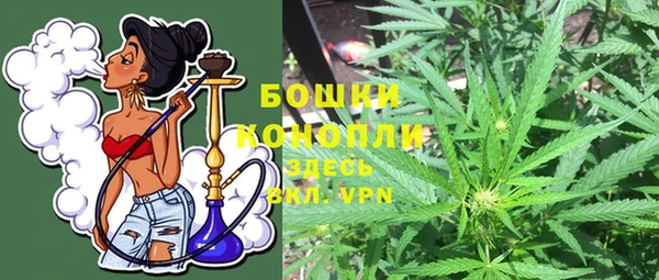 каннабис Аркадак