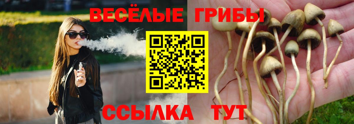 Псилоцибиновые грибы MAGIC MUSHROOMS Белово